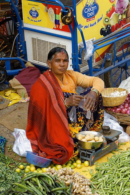 Sur la route d'Orchha-089